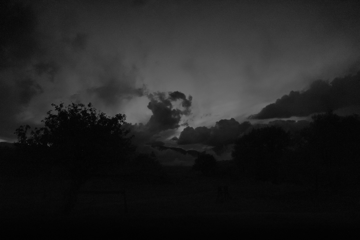 The Mallards' Call #2 — infrared night photograph
