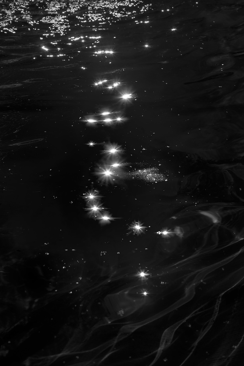 The Mallards' Call #7 — infrared night photograph
